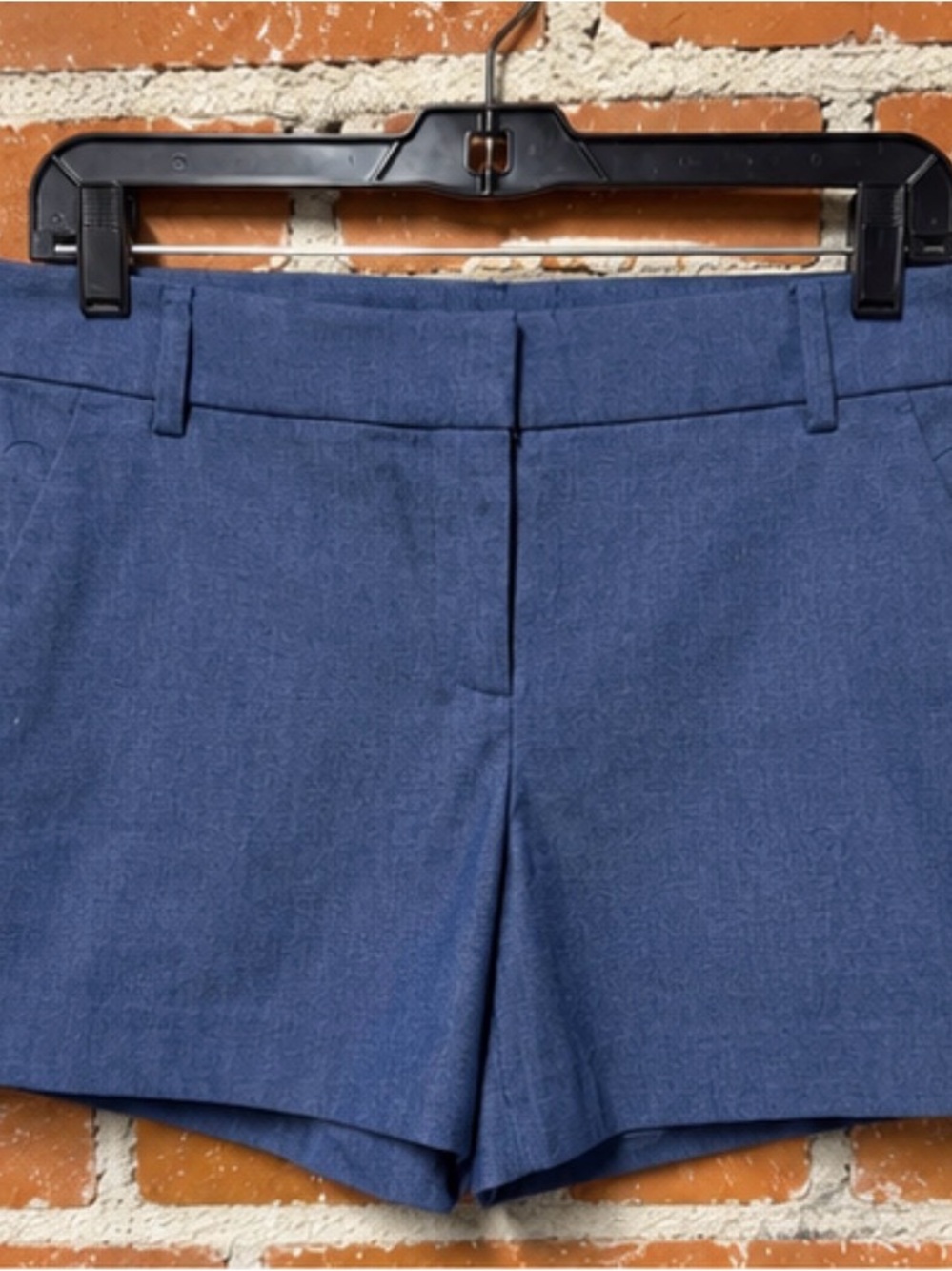 LOFT RIVIERA Women's Tailored Blue Shorts